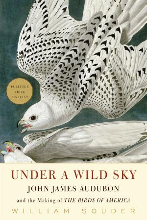 Under a Wild Sky: John James Audubon and the Making of The Birds of America cover