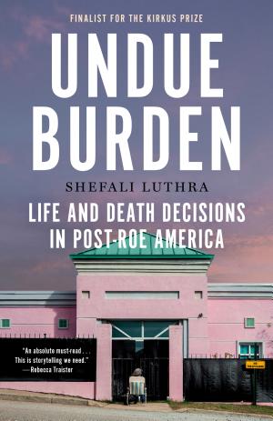 Undue Burden: Life and Death Decisions in Post-Roe America cover
