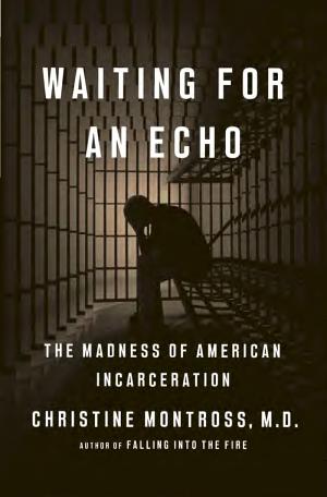 Waiting for an Echo: The Madness of American Incarceration cover