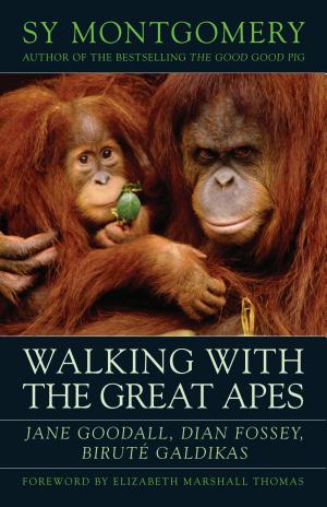Walking With the Great Apes: Jane Goodall, Dian Fossey, Biruté Galdikas cover