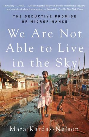 We Are Not Able to Live in the Sky: The Seductive Promise of Microfinance cover