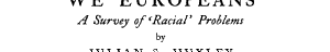 We Europeans: A Survey of "Racial" Problems cover