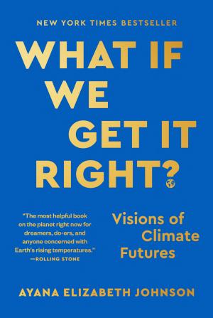 What If We Get It Right?: Visions of Climate Futures cover
