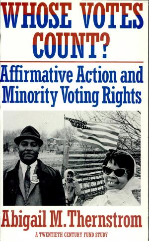Whose Votes Count?: Affirmative Action and Minority Voting Rights cover