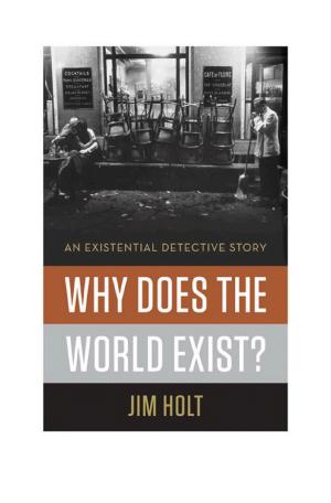 Why Does the World Exist?: An Existential Detective Story cover