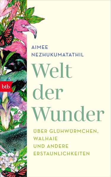 Welt der Wunder cover