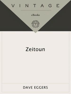 Zeitoun cover