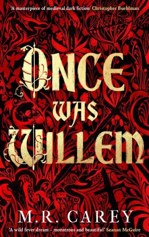 Once Was Willem cover
