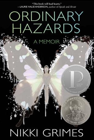 Ordinary Hazards: A Memoir cover