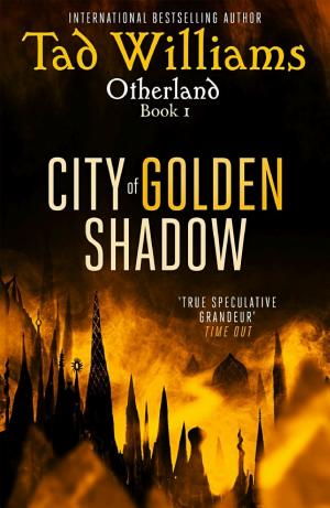 Otherland: City of Golden Shadow cover
