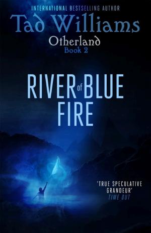 Otherland: River of Blue Fire cover