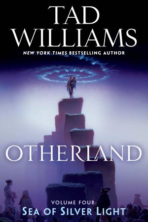 Otherland: Sea of Silver Light cover