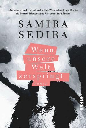 Wenn unsere Welt zerspringt cover