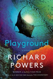 Playground cover
