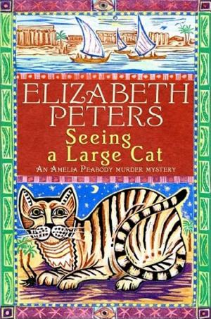 Seeing a Large Cat cover
