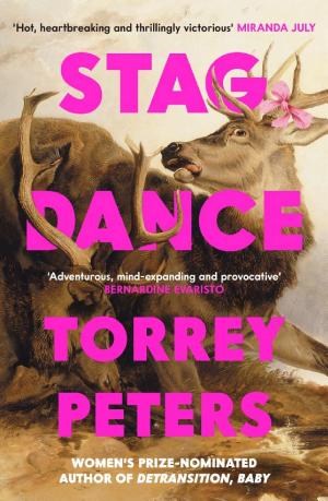 Stag Dance: A Quartet cover