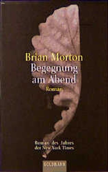 Begegnung am Abend cover