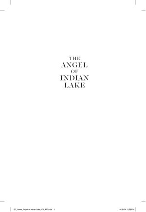 The Angel of Indian Lake cover