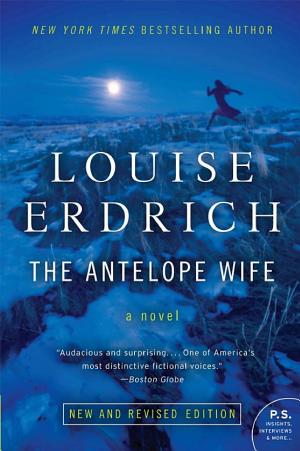 The Antelope Wife cover