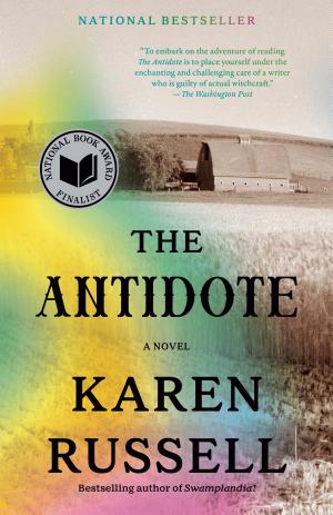 The Antidote cover
