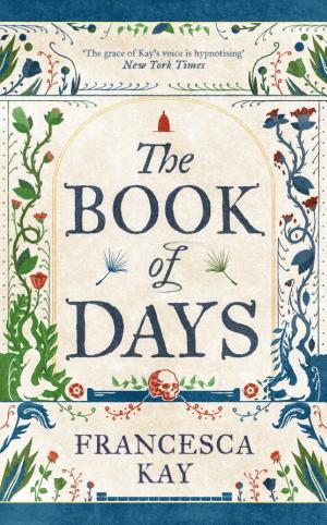 The Book of Days cover