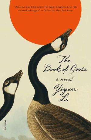 The Book of Goose cover