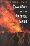 The Boy in the Burning House cover