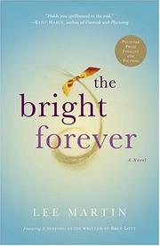 The Bright Forever cover