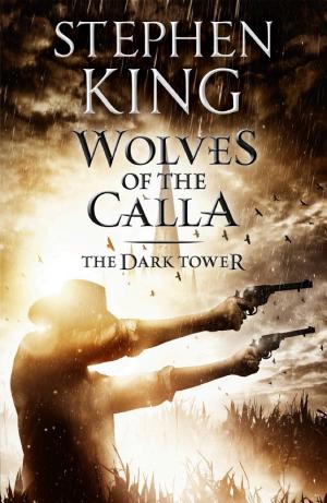 The Dark Tower V: Wolves of the Calla cover