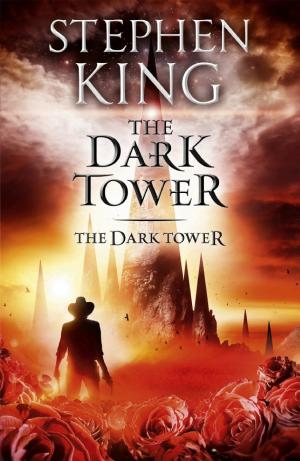 The Dark Tower VII: The Dark Tower cover