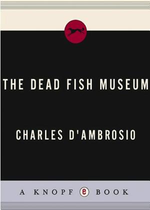 The Dead Fish Museum cover