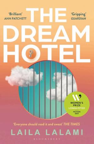 The Dream Hotel cover