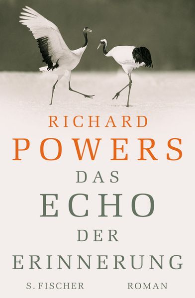 Das Echo der Erinnerung cover