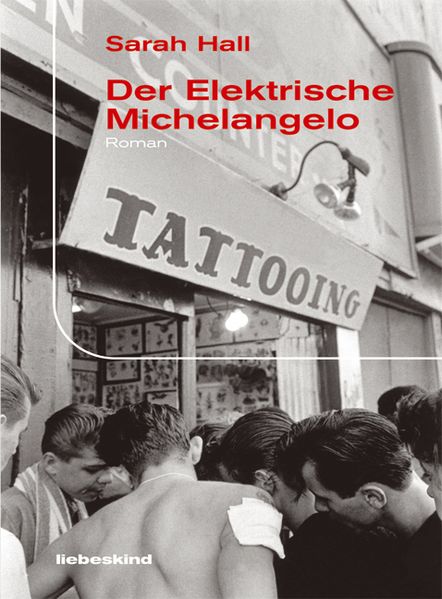 Der elektrische Michelangelo cover