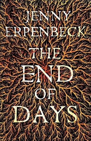 The End of Days cover