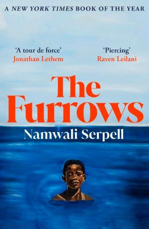 The Furrows cover