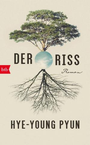Der Riss cover