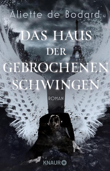 Das Haus der gebrochenen Schwingen cover