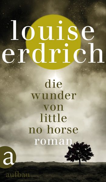Die Wunder von Little No Horse cover