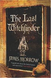 The Last Witchfinder cover