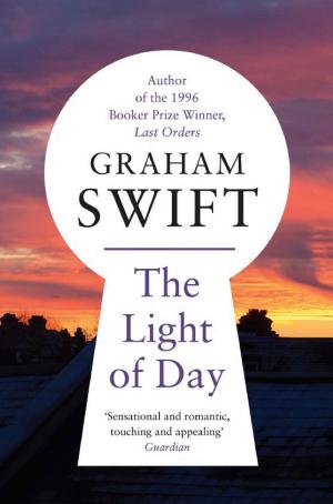 The Light of Day cover