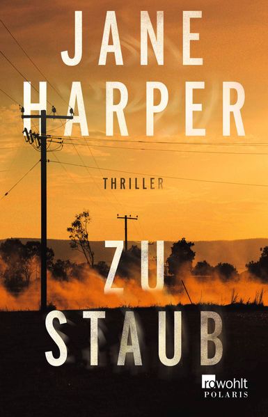 Zu Staub cover