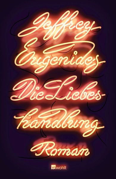 Die Liebeshandlung cover
