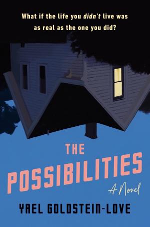 The Possibilities cover