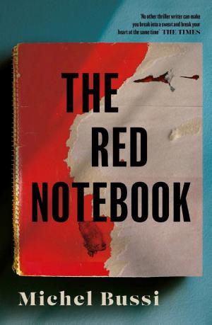 The Red Notebook cover
