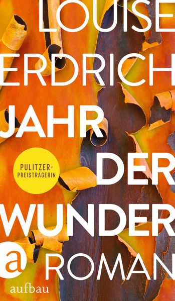 Jahr der Wunder cover