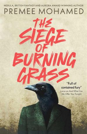 The Siege of Burning Grass cover
