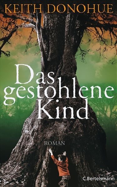 Das gestohlene Kind cover
