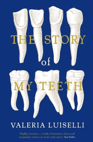 The Story of My Teeth cover