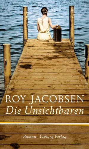 Die Unsichtbaren cover